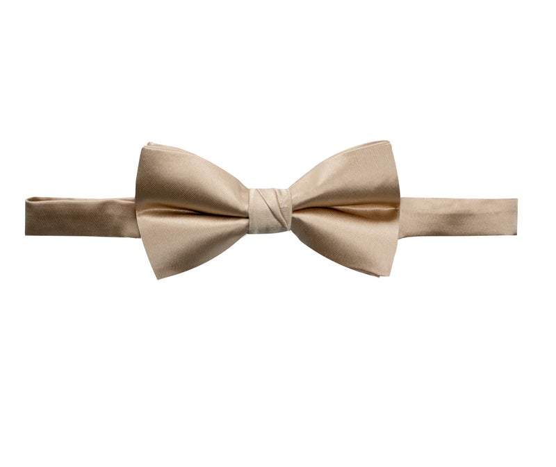 Spring Notion Men's Solid Color Satin Microfiber Bow Tie and Hankerchief Set Champagne - Image 2